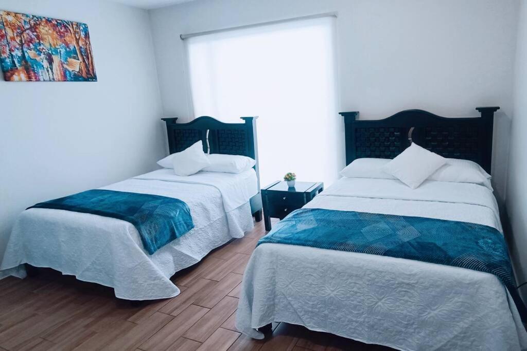 Secure, Central And Quiet Apartment Work Or Travel メキシコシティ エクステリア 写真